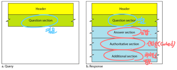 %E1%84%8B%E1%85%B5%E1%84%85%E1%85%A9%E1%86%AB11%20-%20Application%20Layer,%20DNS%20cf00b598d59a4faa847406eedca1bf01/image12.png