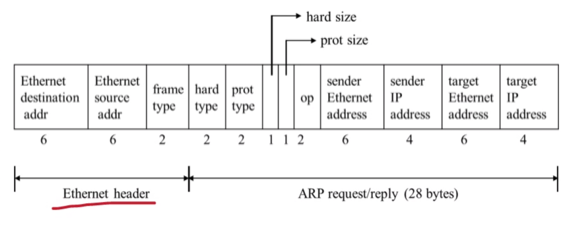 %E1%84%89%E1%85%B5%E1%86%AF%E1%84%89%E1%85%B3%E1%86%B802%20-%20Network%20layer%20&%20ARP%20bb21adcc32be4540a2975c2f22e5fbc5/image1.png